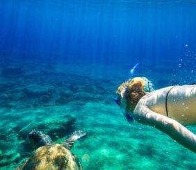 Barbados Snorkeling
