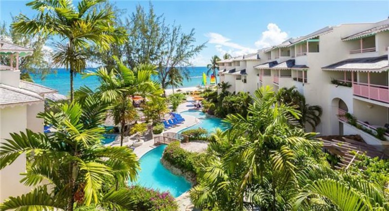 Bourgainvillea Barbados