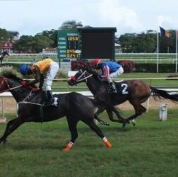 Barbados Horse Racing