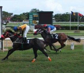 Barbados Horse Racing