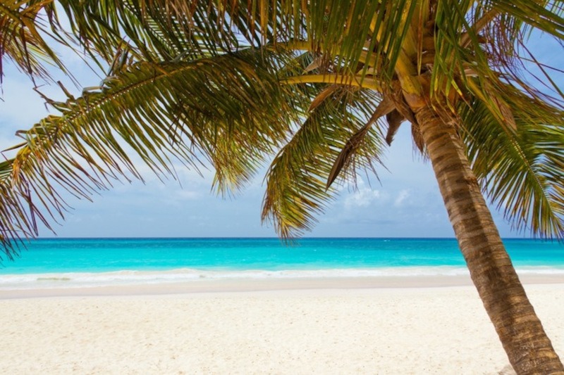 Barbados Weather in June Best Barbados Vacation Packages