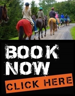 Barbados Horseback Tours