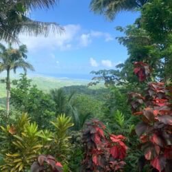 Flower Forest Barbados