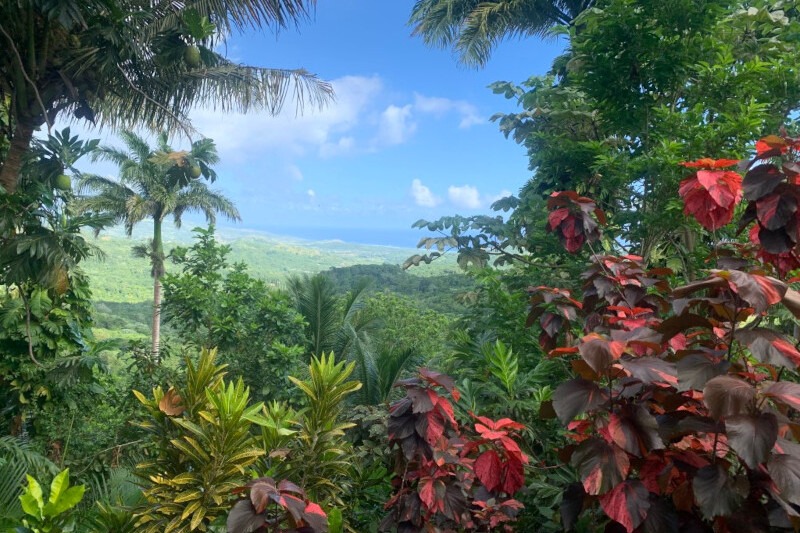 flower forest barbados